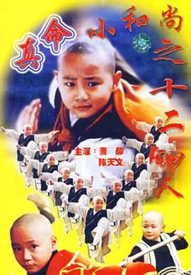《真命小和尚之十二铜人》：草根逆袭打怪升级，这小和尚太能打了！